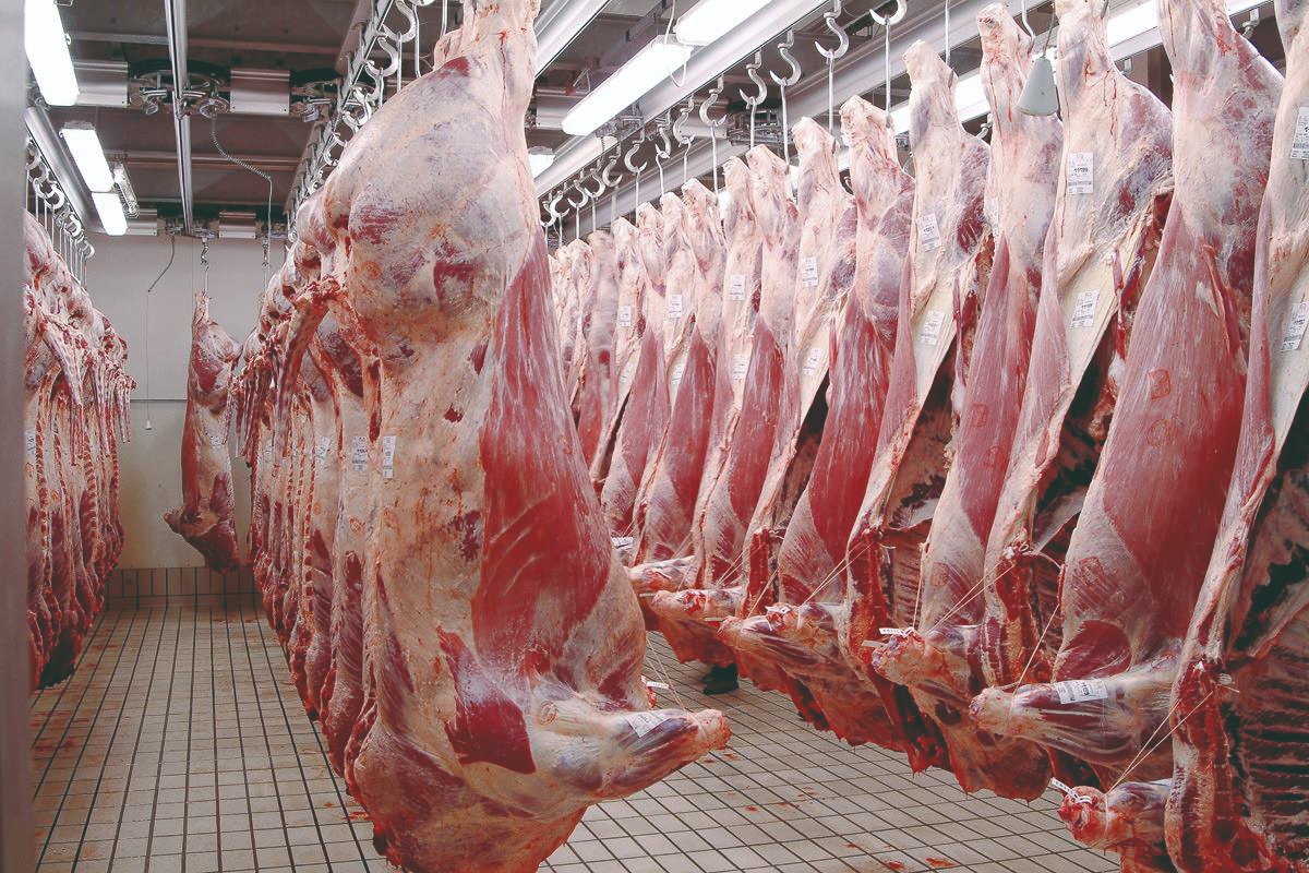 الحكومة في مواجهة تحدي ارتفاع أسعار اللحوم الحمراء بحلول رمضان