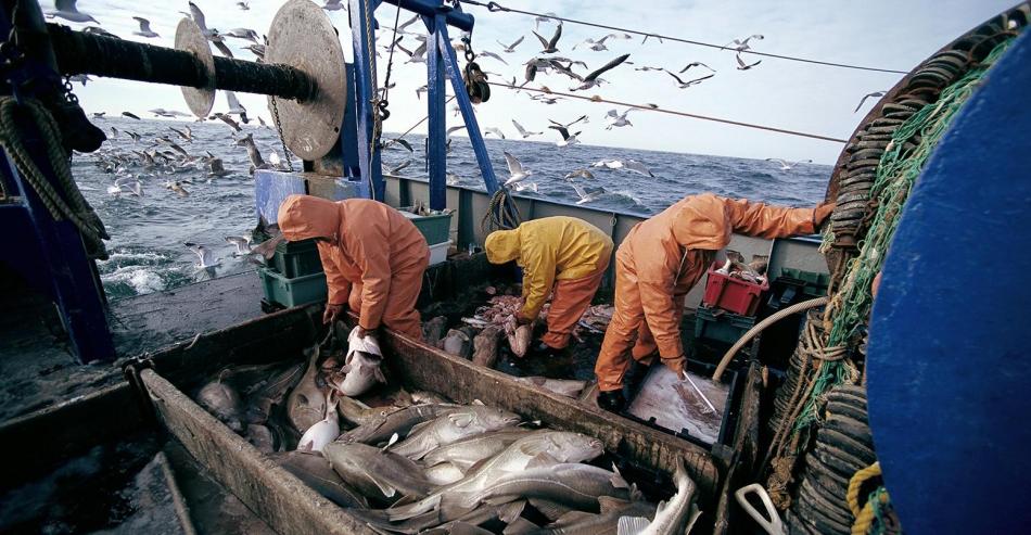 مفرغات الصيد البحري بالموانئ المتوسطية تتراجع بـ 14 %