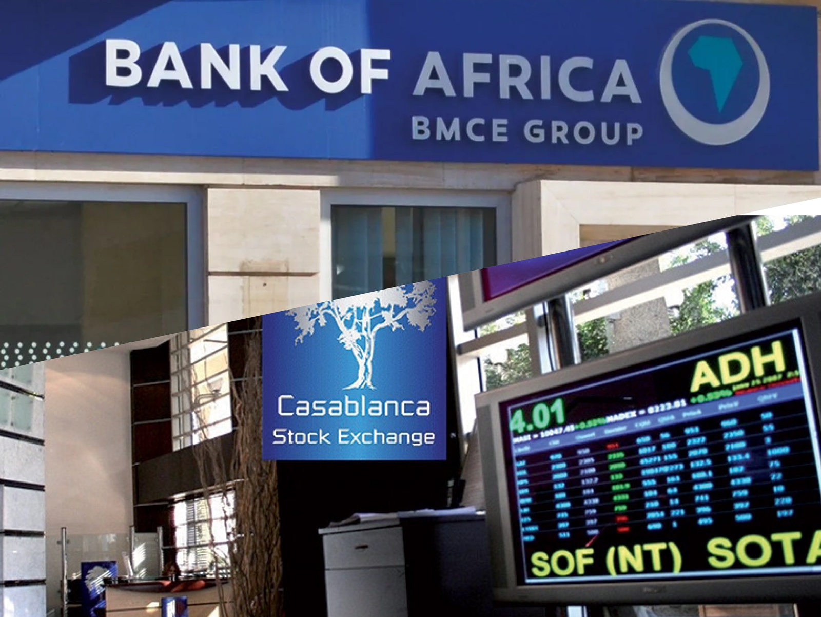 سهم "بنك أفريقيا" يقود ارتفاعات أولى تداولات الأسبوع