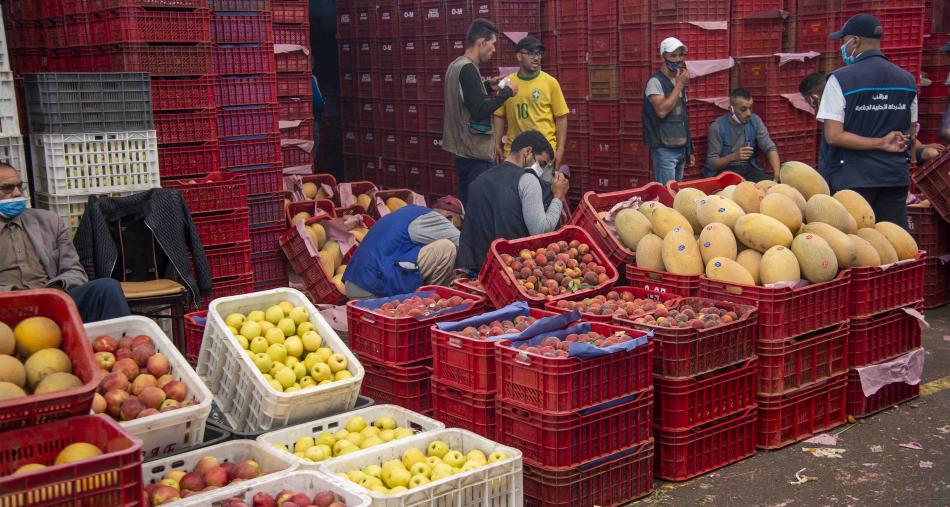 مندوبية التخطيط .. التجار يتوقعون استقرارا في حجم مبيعات قطاع الجملة