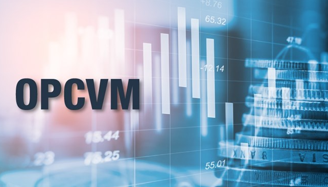 صافي الأصول OPCVM بلغ  808,15 مليار درهم بتاريخ 08 غشت