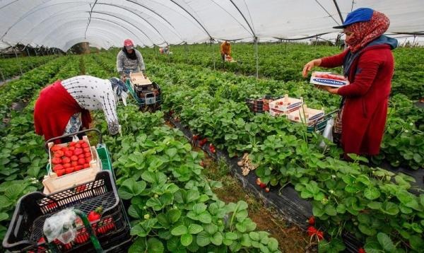 التصديق على المنتوجات الفلاحية محور تعاون مرتقب بين جهة سوس و"ألميريا" الإسبانية