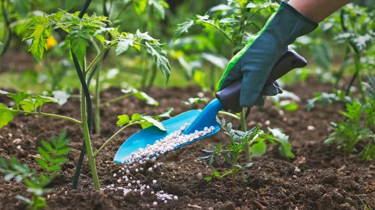 المغرب يتصدر قائمة موردي الأسمدة للاتحاد الأوروبي متجاوزا روسيا