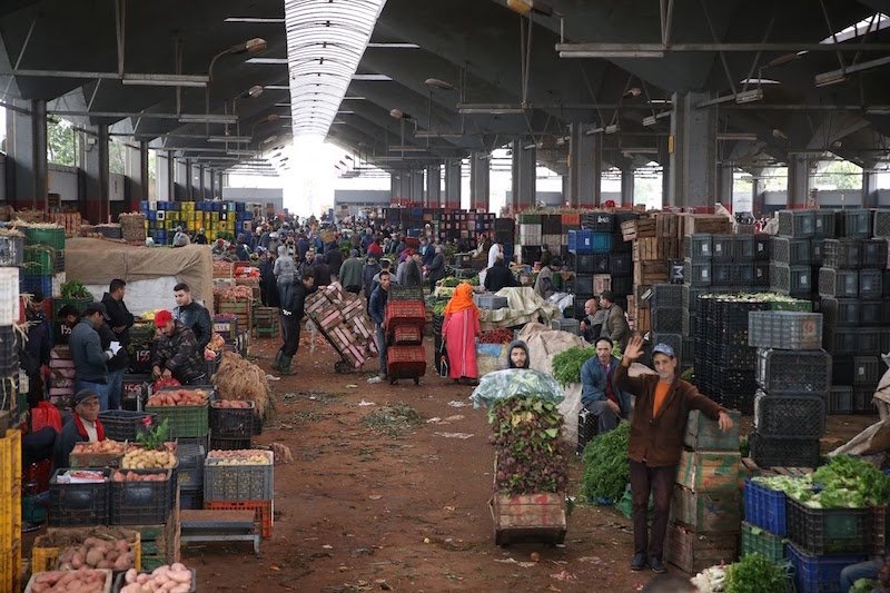 الغلاء يلهب أسواق الخضر والفواكه بالبيضاء + إنفوغراف