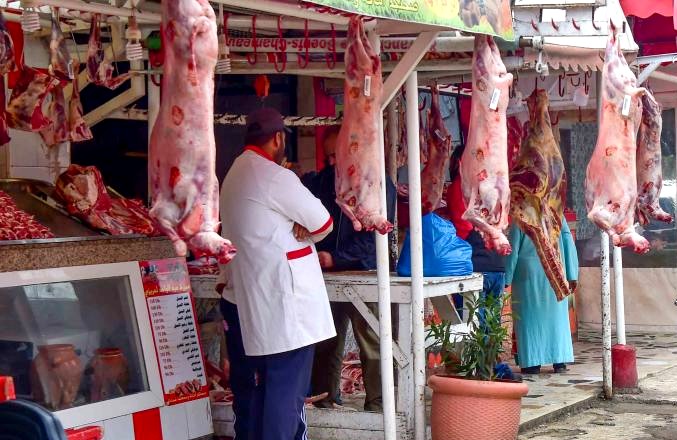 تحذيرات من ارتفاع مرتقب في أسعار لحوم الأبقار بالمغرب