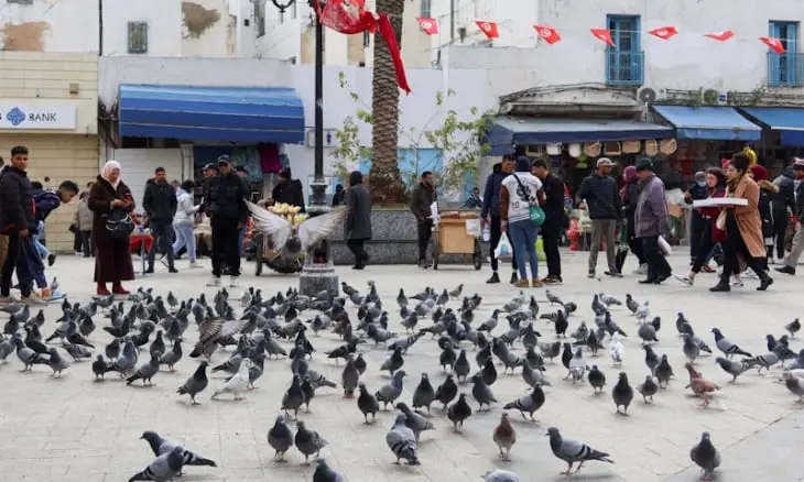 خبير اقتصادي: انخفاض الخصوبة قد يؤدي إلى نقص اليد العاملة مستقبلا