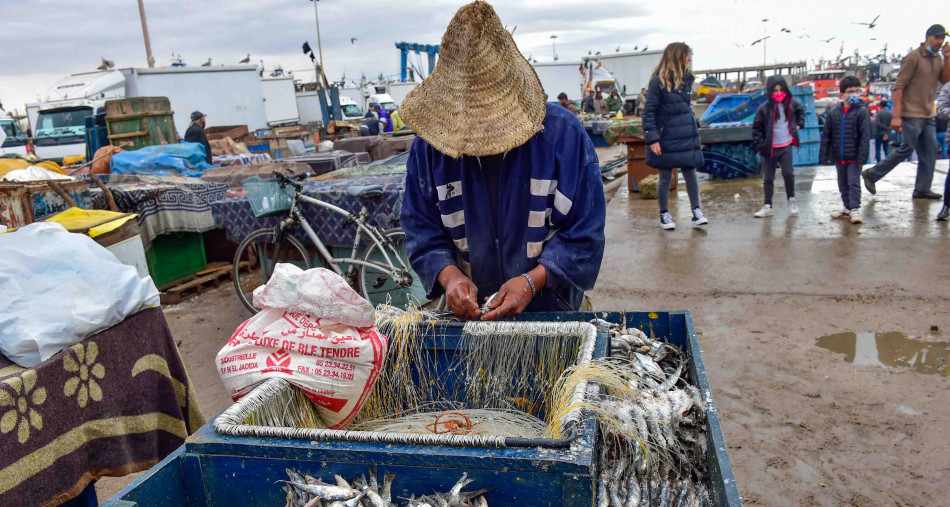 منتجات الصيد الساحلي.. تراجع الكميات المفرغة بميناء الصويرة  بأزيد من الثلثين