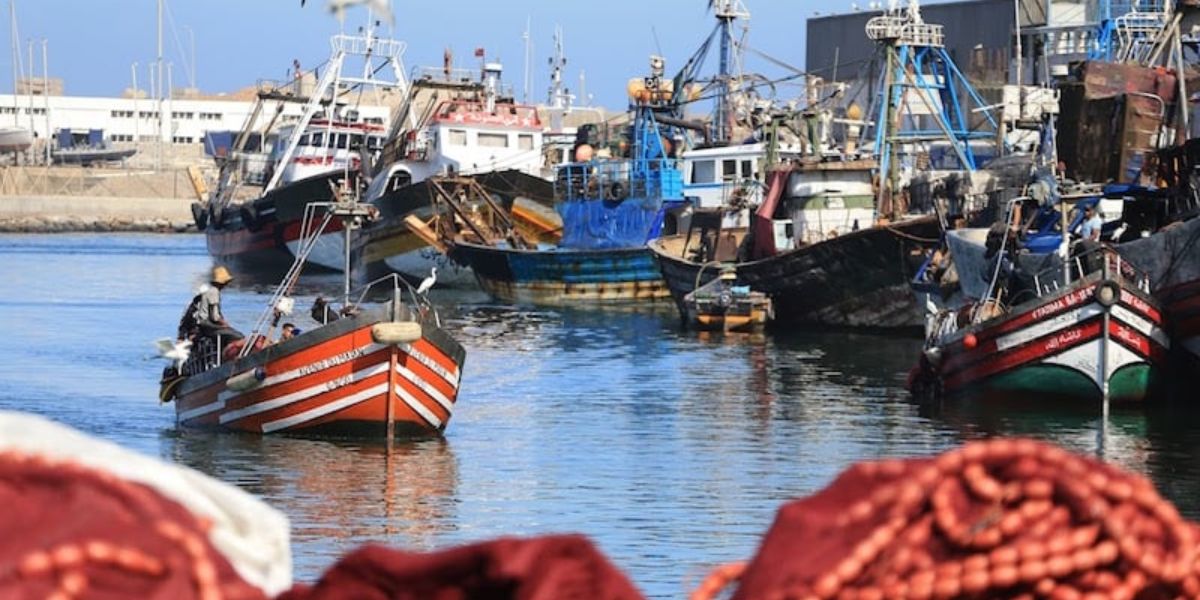 قيمة مفرغات الصيد الساحلي والتقليدي تقفز إلى 786 مليارا