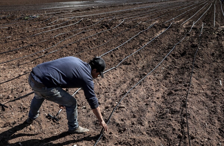 الموسم الفلاحي 2025/2026: الاستعدادات تنطلق وسط قلق الفلاحين