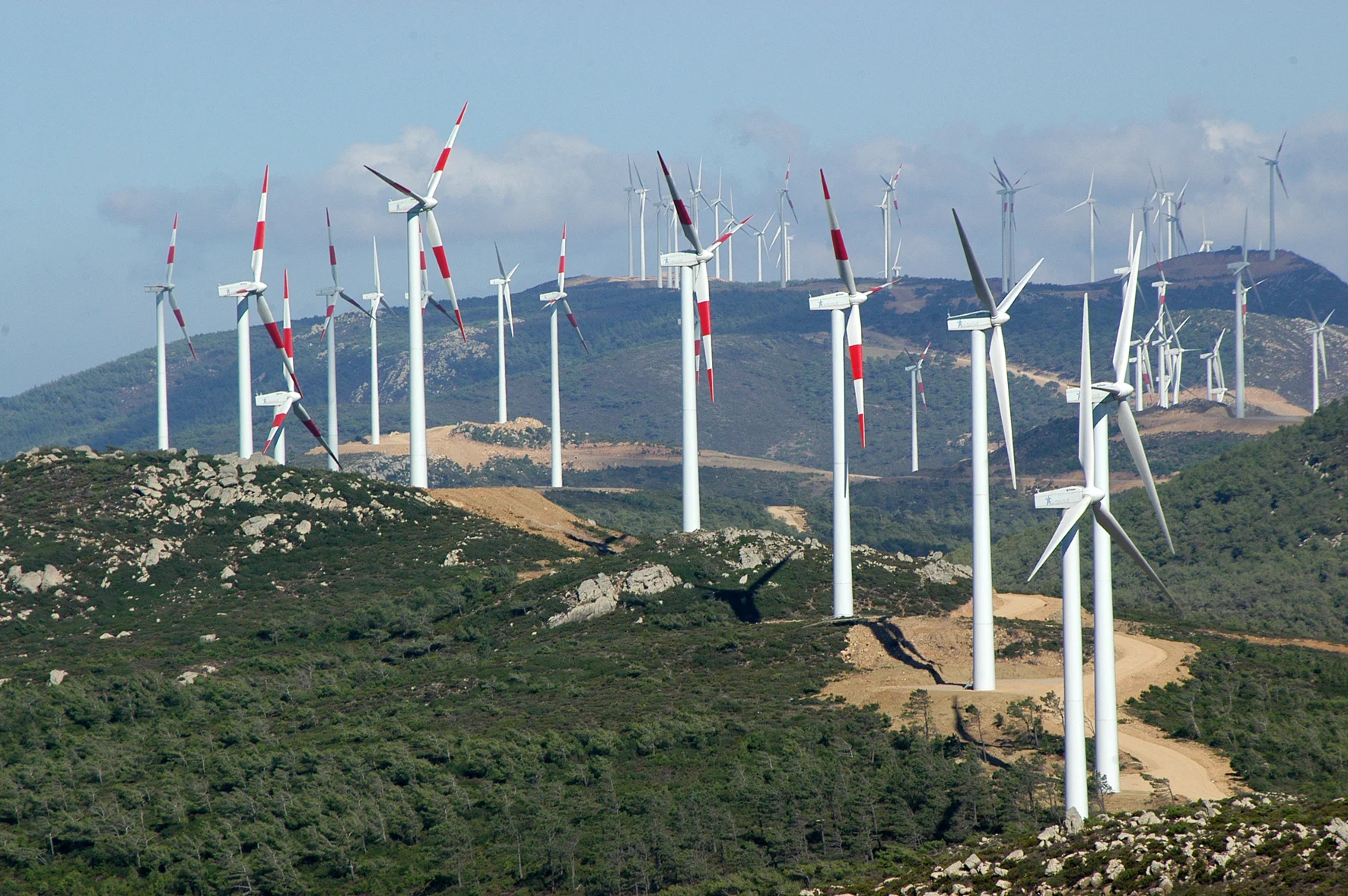 المغرب يعزز ريادته في طاقة الرياح بمشروعات كبرى وقدرة إنتاجية متسارعة