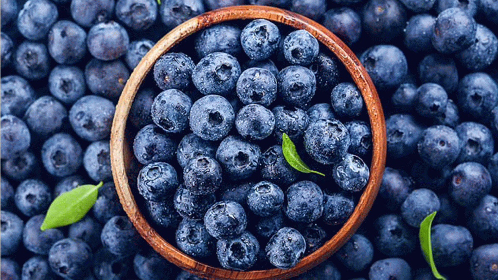 إنتاج المغرب من التوت الأزرق يقترب من 80 ألف طن خلال موسم 2025