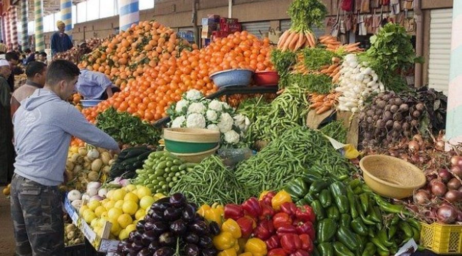 تزويد الأسواق الوطنية بالمنتجات الفلاحية مستمر رغم قلة التساقطات المطرية