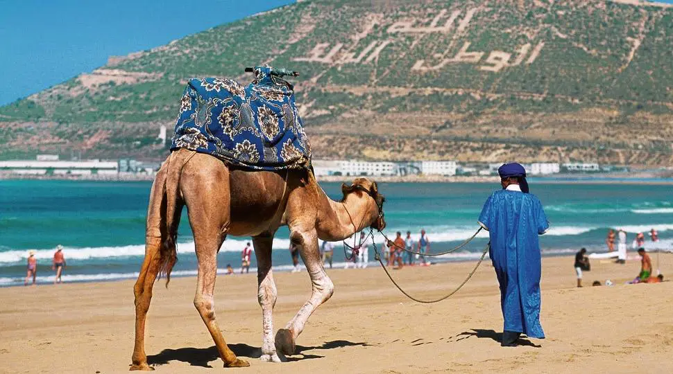 عمور: ارتفاع أسعار السياحة صيفا مرتبط بالطلب ومحدودية العرض