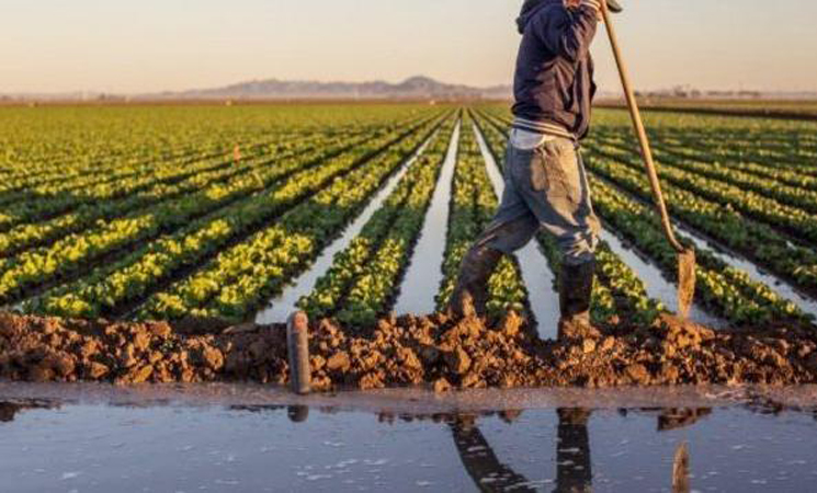 الحرارة المفرطة تهدد المحاصيل وتستنزف الموارد المائية بالمغرب