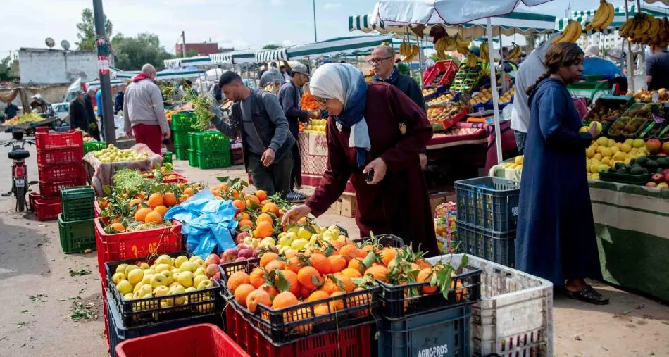 بعد اجتماعها بالمهنيين.. الحكومة تؤكد ارتفاع عرض المنتوجات الفلاحية بالأسواق خلال أسابيع