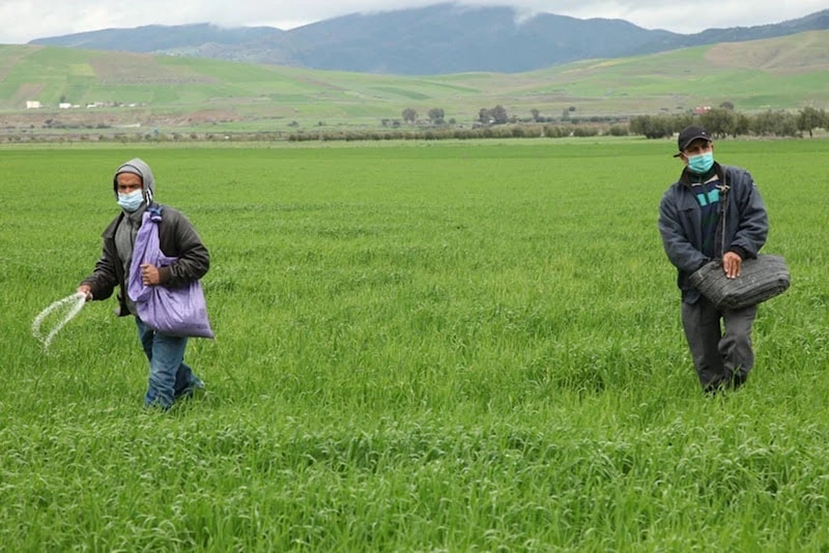 استمرار مخاوف الفلاحين.. وتحذيرات من تداعيات تأخر التساقطات على الموسم الفلاحي