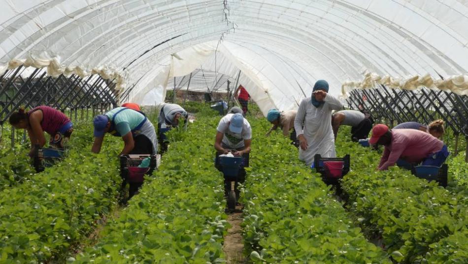 وفاة عاملة موسمية مغربية وجرح أخريات في انقلاب حافلة بإسبانيا