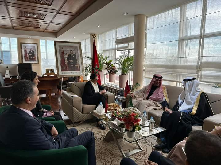 المنصوري تجتمع بنظيرها السعودي لتعزيز العلاقات في مجالات إعداد التراب الوطني والتعمير والإسكان