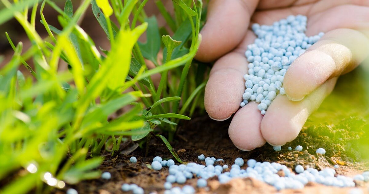 الولايات المتحدة الأمريكية تراجع رسوم الأسمدة المغربية لدعم المزارعين