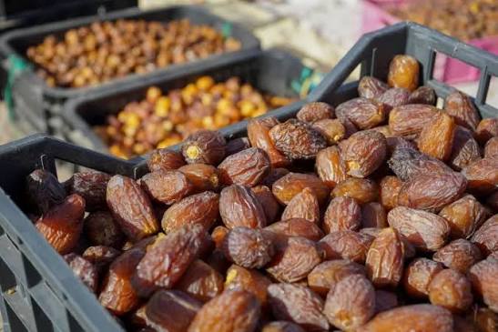 وزارة الفلاحة تتوقع إنتاج 180 ألف طن من التمور هذا الموسم