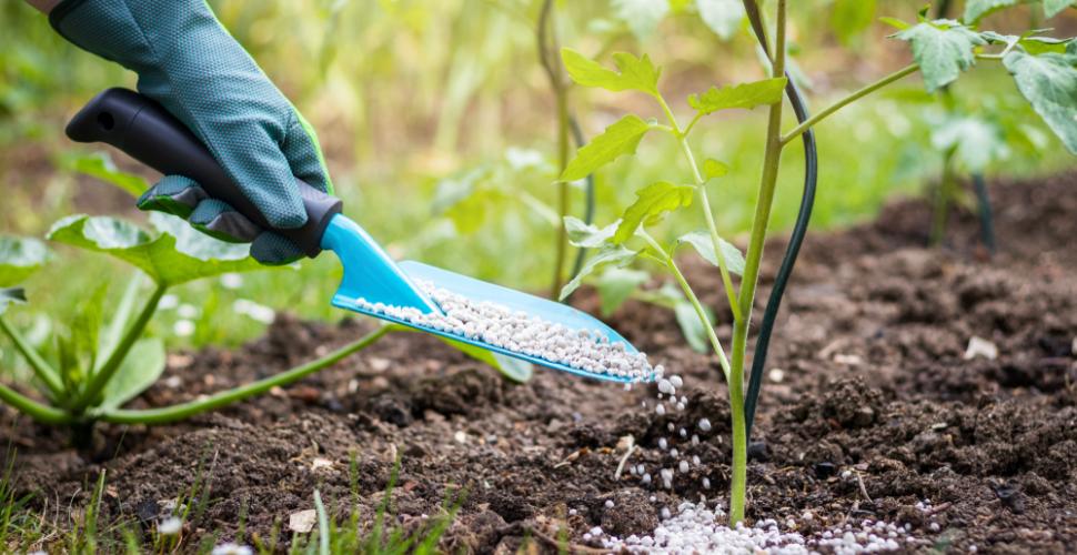 مجمع الفوسفاط يخصص 4 ملايين طن من الأسمدة لأفريقيا