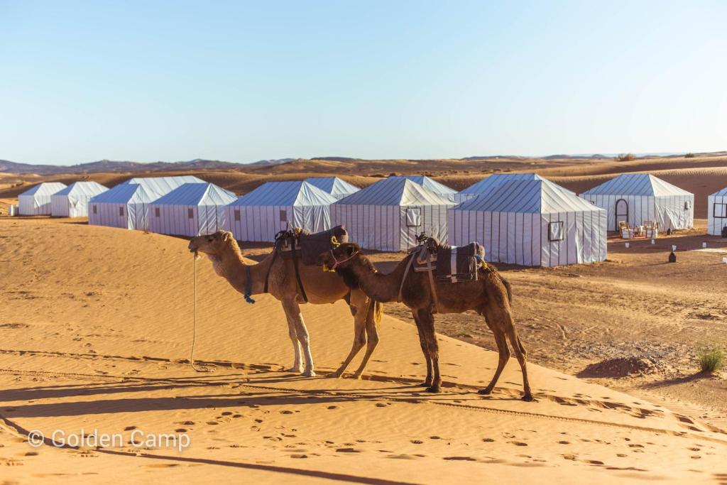 مجموعة Checkin الاسبانية تفتتح فندقين جديدين في المغرب