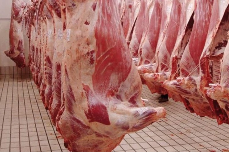 اللحوم الحمراء في مواجهة تحدي الجفاف والأسعار