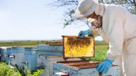 الحكومة تواجه اختفاء النحل بحملة ضد "الفارواز" ستكلفها 3 ملايير