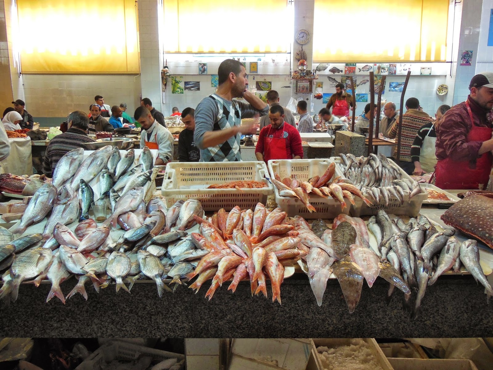 الغلاء يلهب أسعار السمك في رمضان