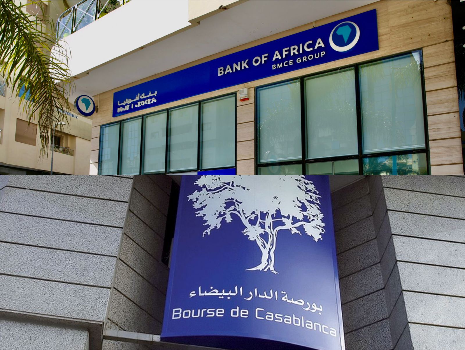 سهم "بنك أفريقيا" يتصدر ارتفاعات قيم البنوك بالبورصة