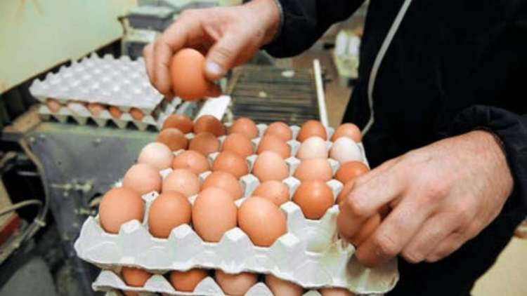 مصدر مهني لـ"اقتصادكم": اختفاء 5 ملايين بيضة يوميا وراء غلاء الأسعار