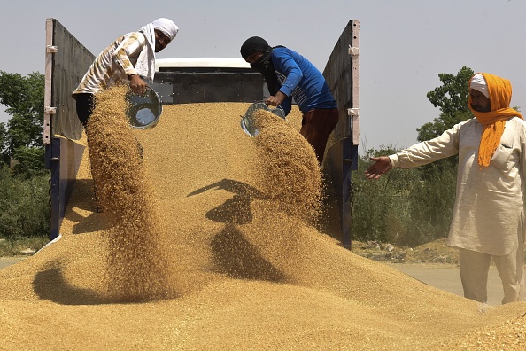 الهند تُربك العالم وتحظر صادرات القمح بشكل مفاجئ