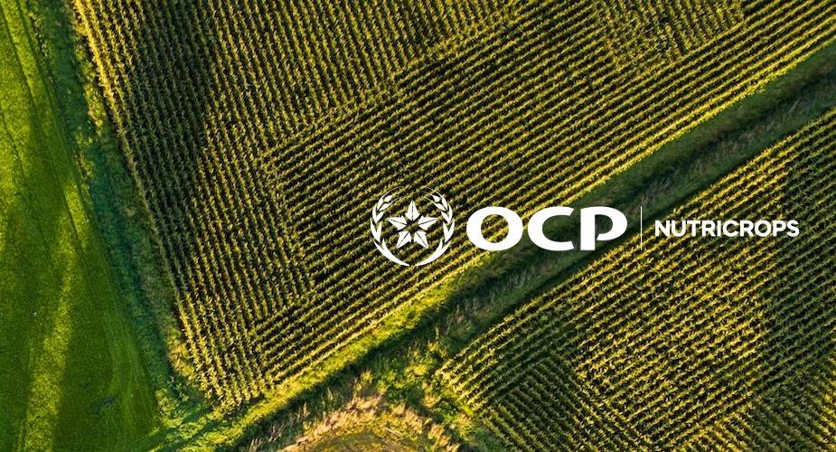 OCP Nutricrops تبرم اتفاقا لتزويد البرازيل بـ3.8 ملايين طن من الأسمدة