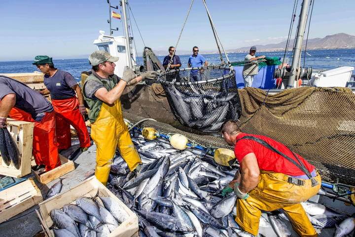 المغرب في طريقه  لبلوغ الأهداف الدولية لحماية أسماك التونة