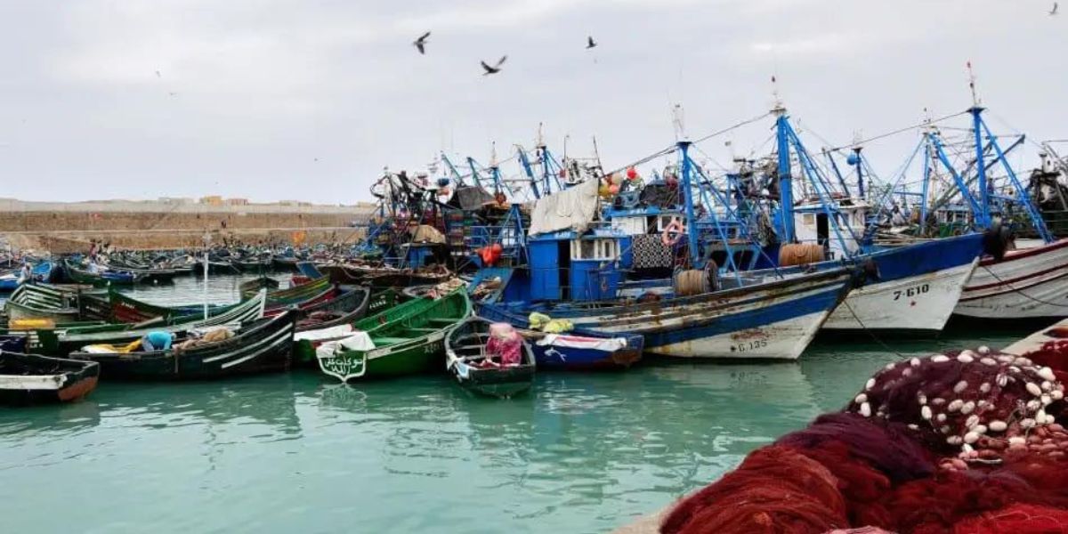 صديقي معلقا على مطالب دعم محروقات مهنيي الصيد: الوزارة لم يعد لا دخل منذ التحرير
