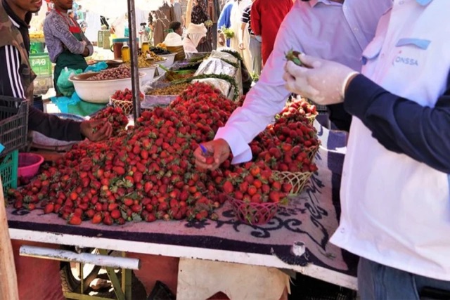 وزارة الفلاحة تدخل على الخط وتؤكد خلو الفراولة المغربية من الفيروسات