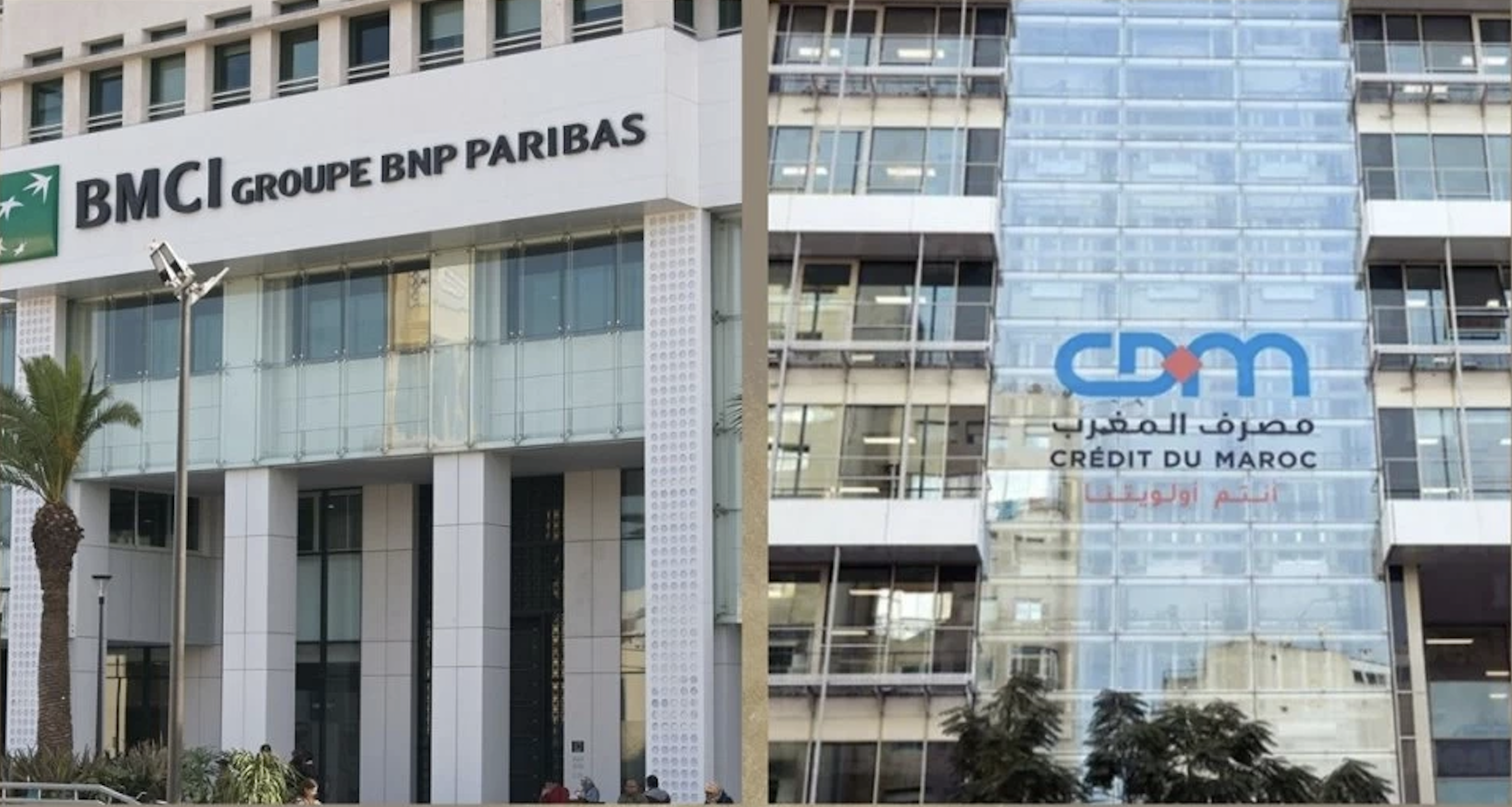 كيف ستنجح هولماركوم في دمج CDM وBMCI وصناعة قطب بنكي جديد؟