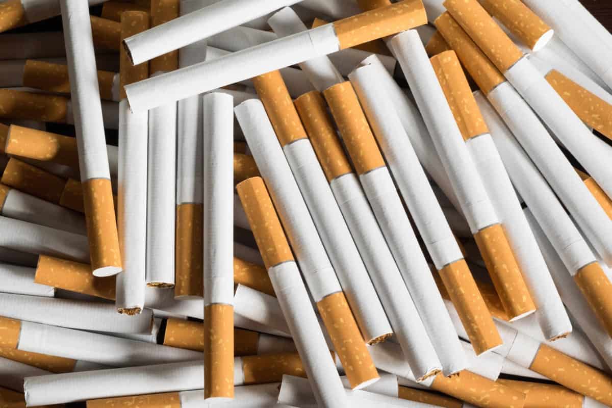 هل  الزيادة في أسعار السجائر إجراء لحماية صحة المستهلك ؟