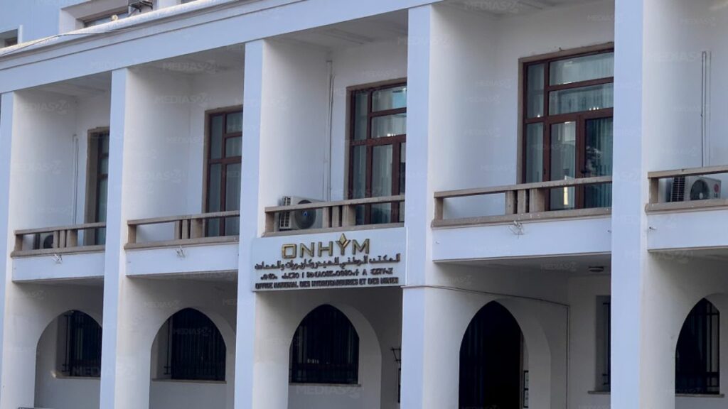 المكتب الوطني للهيدروكاربورات والمعادن يكثف تعبئته الدولية حول أنبوب الغاز الإفريقي الأطلسي