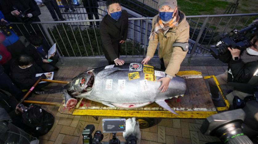 بيع سمكة تونة بأزيد من 285 مليون في اليابان