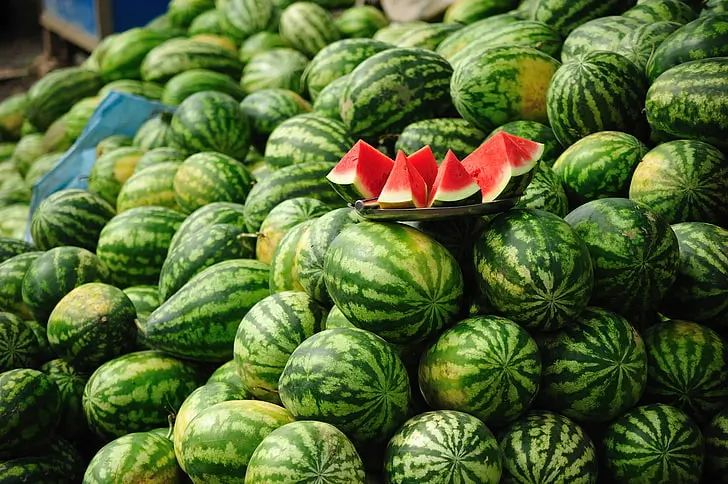 رغم تراجع الصادرات.. المغرب يبسط سيطرته على سوق البطيخ الإسباني