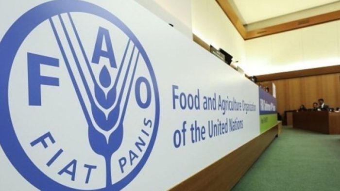 إعادة انتخاب المغرب بروما في مجلس إدارة برنامج الأغذية العالمي