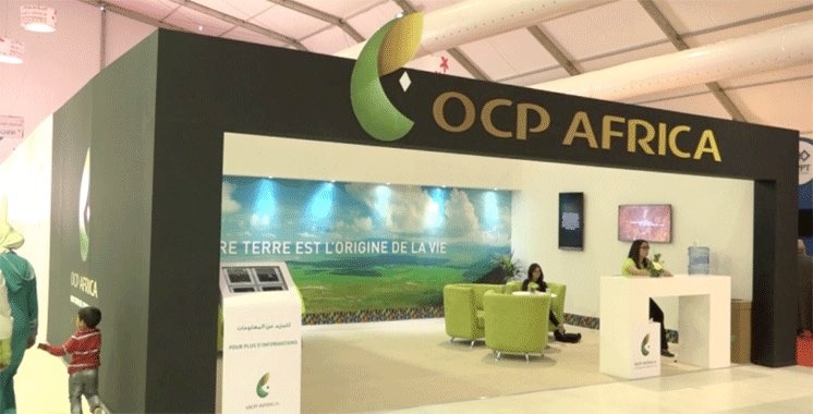 مجمع الفوسفاط يواصل هيمنته الأفريقية باتفاقيات جديدة مع الكونغو الديمقراطية وساحل العاج وتنزانيا