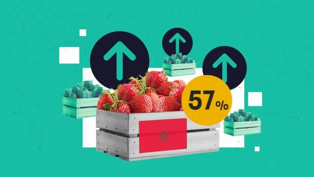 فارق الثمن.. إسبانيا تدفع للمغرب 57% أكثر من المزارعين الإسبان مقابل الفراولة