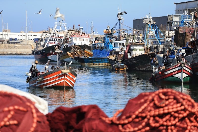 موانئ المغرب المطلة على البحر المتوسط.. زيادة 13% في حجم مفرغات الصيد البحري