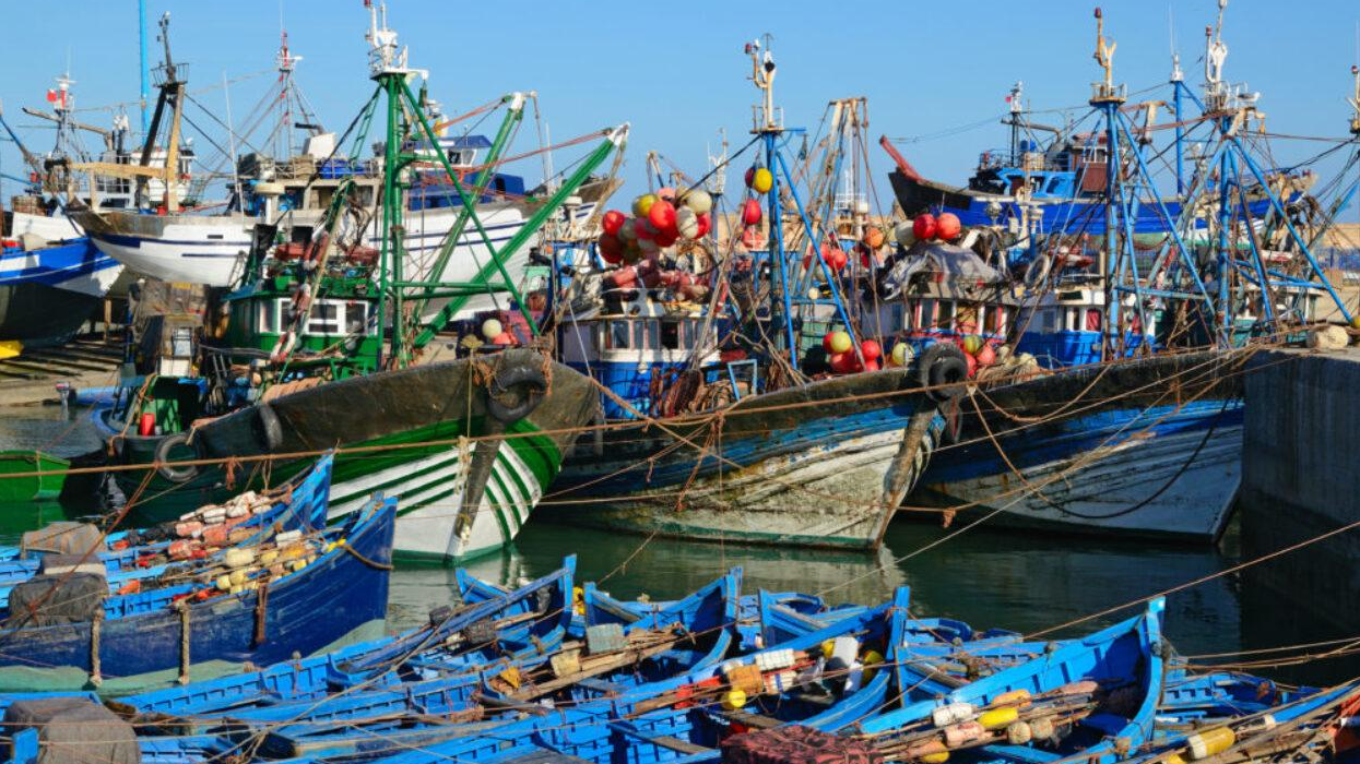 مبيعات الصيد الساحلي والتقليدي تتجاوز 7.4 مليار درهم