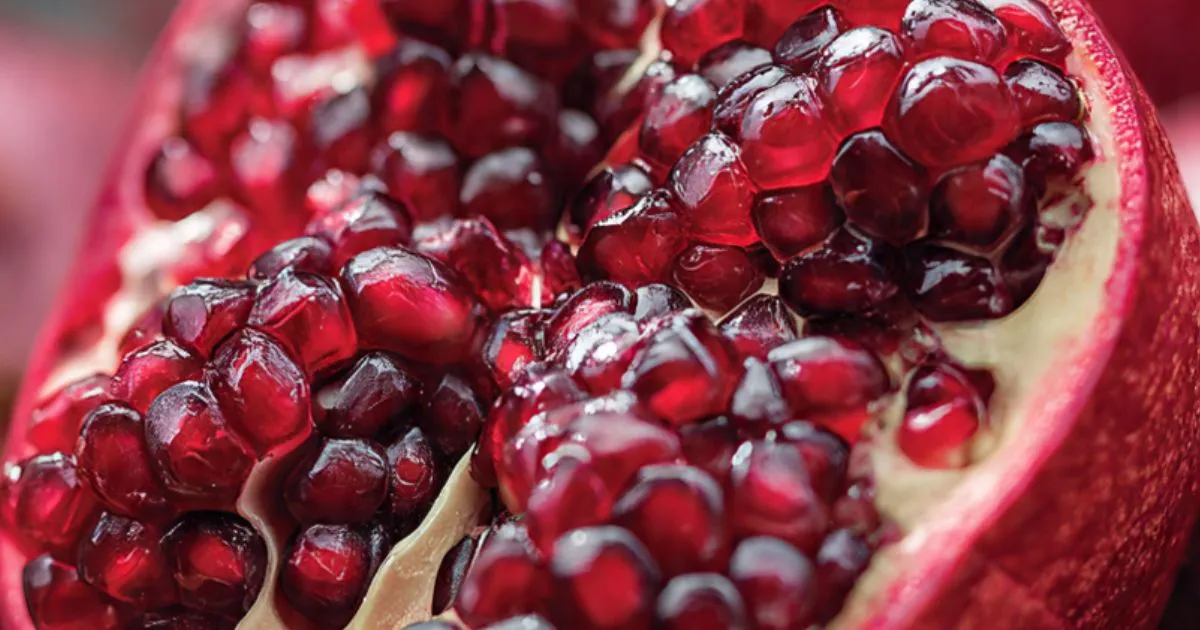 الرمان المغربي يفرض نفسه في أوروبا وسط تراجع المنتجين التقليديين