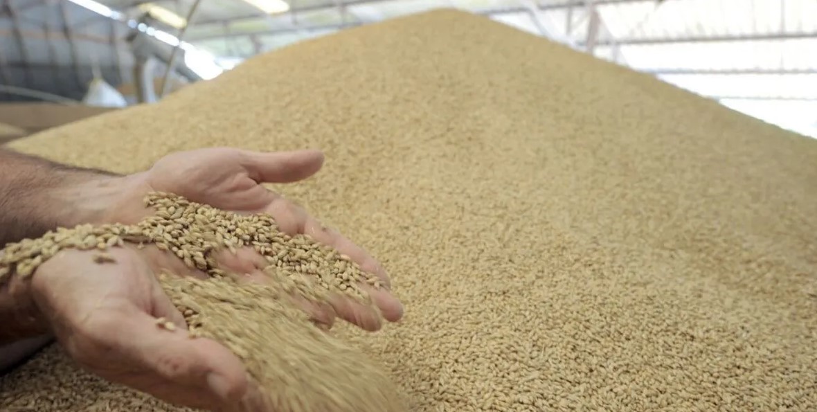 المغرب يستعد لاستقبال باخرتين محملتين بـ60 ألف طن من القمح الروسي