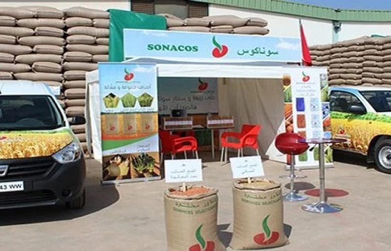 "سوناكوس" وفرت أزيد من 11 ألف قنطار من الأسمدة لفلاحي جهة بني ملال خنيفرة