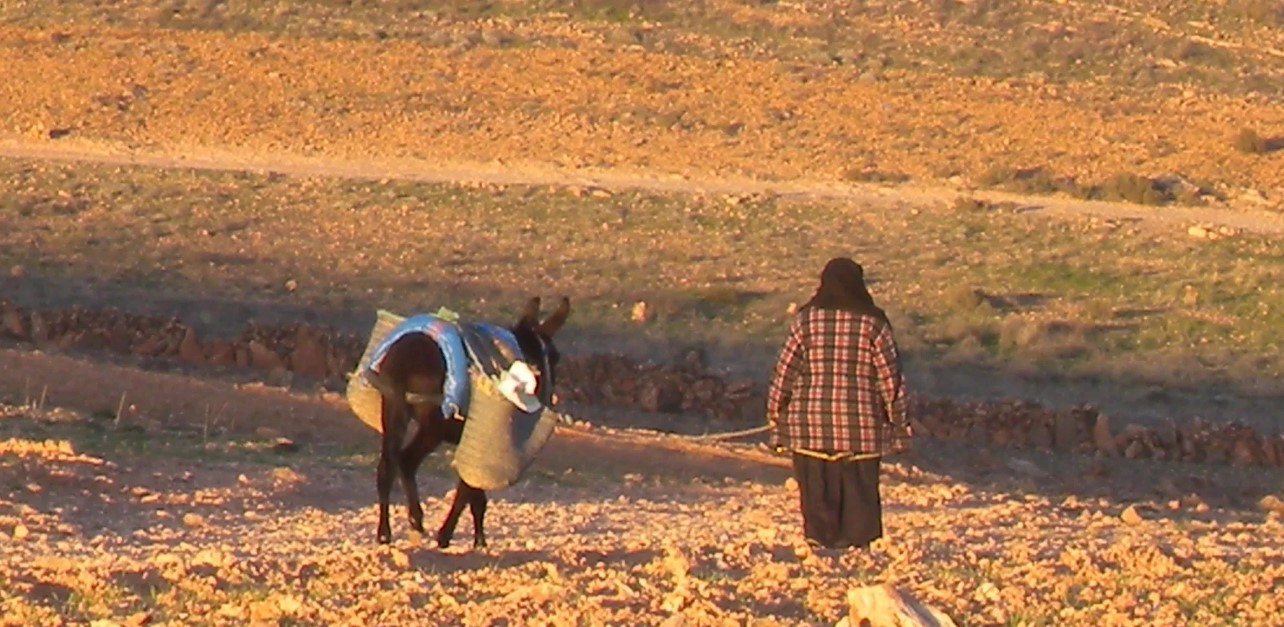 بالأرقام: الجفاف يخفض معدل النمو الاقتصادي المتوقع بنهاية السنة